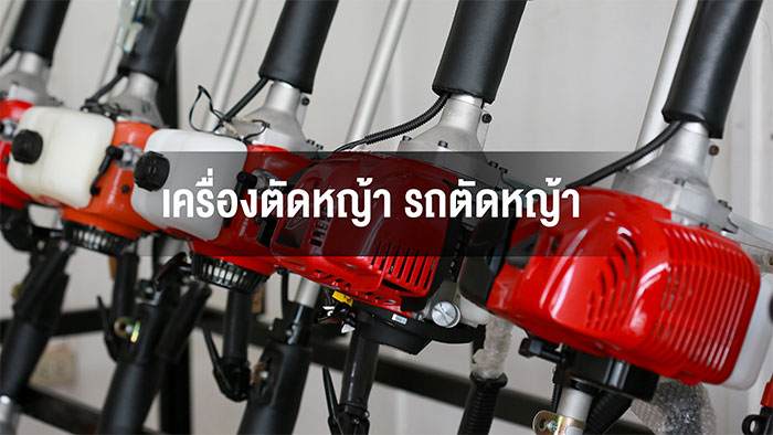 พัฒนายนตร์ชลบุรี2