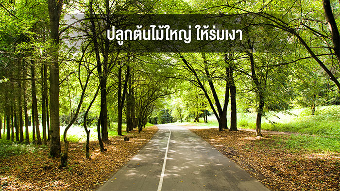 ธนะสตีล_01