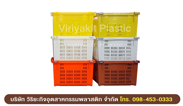 ลังพลาสติก ลังพลาสติก