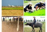 Sukhothai Travel Service Co Ltd