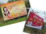 ใบเฟิร์นโฆษณา