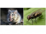 Skill Rid Pest Control Co Ltd