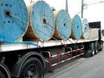 Parinya Logistics Co Ltd