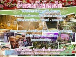 ดอกไม้แทนใจ สุรินทร์