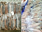 ห้องเย็น นำโชคทะเลเมืองใหม่ (ตลาดเมืองใหม่)