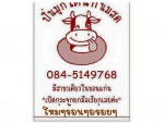 ปิ่นมุก โดนัทนมสด