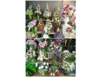 ห้องดอกไม้ใบทอง บุรีรัมย์