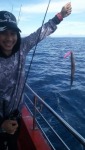 ให้เช่าเรือตกหมึก เรือตกปลา ชุมพร