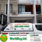 บริษัทกำจัดปลวกปทุมธานี ฉีดปลวกปทุมธานี เวิลด์บั๊ก