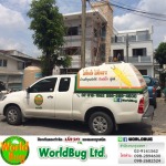 บริษัทกำจัดปลวกสมุทรปราการ ฉีดปลวกสมุปราการ เวิลด์บั๊ก