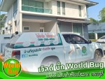 บริษัทกำจัดปลวกชลบุรี ฉีดปลวกชลบุรี  เวิลด์บั๊ก