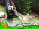 บริษัทกำจัดปลวกชลบุรี ฉีดปลวกชลบุรี  เวิลด์บั๊ก