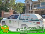 บริษัทกำจัดปลวกชลบุรี ฉีดปลวกชลบุรี  เวิลด์บั๊ก