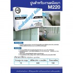 TPI Polene Public Co Ltd
