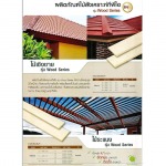 TPI Polene Public Co Ltd