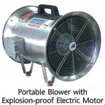 Fan International Co Ltd