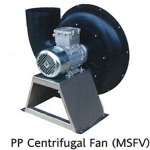 Fan International Co Ltd