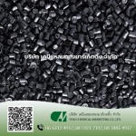 Thai Chemical Marketing Co Ltd