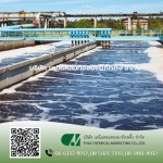 Thai Chemical Marketing Co Ltd
