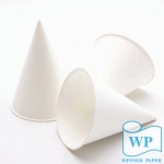 Winner Paper Co Ltd