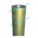 Standard Roll Co Ltd