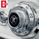 Golden Safe Co Ltd