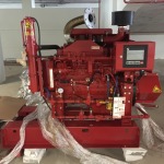 Reddy Buffaloes Pump (Thailand) Ltd