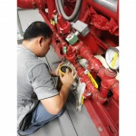 Reddy Buffaloes Pump (Thailand) Ltd