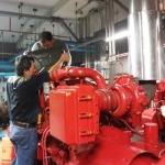 Reddy Buffaloes Pump (Thailand) Ltd