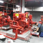 Reddy Buffaloes Pump (Thailand) Ltd