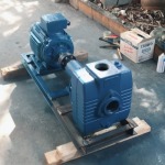 Reddy Buffaloes Pump (Thailand) Ltd