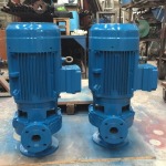 Reddy Buffaloes Pump (Thailand) Ltd