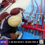 Nippon Chemical Co., Ltd.