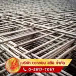 Dragon Steel Co., Ltd.