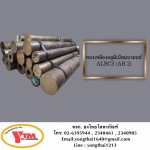 Yongthai Metal LP