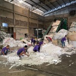 Saengphaisarn Paper LP