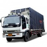 I P D Transport & Import Export Co., Ltd.