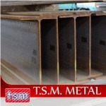 T S M Metal Co., Ltd.