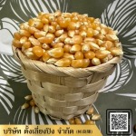 ขายส่งข้าวโพด - ขายส่งวัตถุดิบและธัญพืช