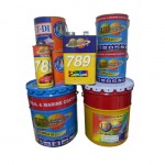 UD Coating Co Ltd