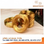 Brastech Co Ltd