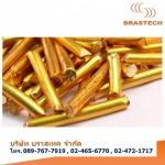 Brastech Co Ltd