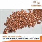 Brastech Co Ltd
