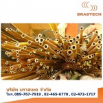 Brastech Co Ltd