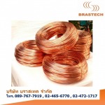 Brastech Co Ltd