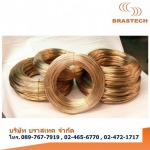 Brastech Co Ltd