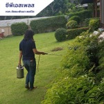 Chaichanapattana Services LP
