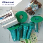 บริการวางเหยื่อล่อปลวก - กำจัดปลวก สมุทรปราการ ซีพีเอสเพลส