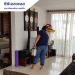 บริษัทกำจัดปลวกขึ้นบ้าน - กำจัดปลวก สมุทรปราการ ซีพีเอสเพลส