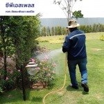 รับกำจัดแมลงทุกชนิด - กำจัดปลวก สมุทรปราการ ซีพีเอสเพลส
